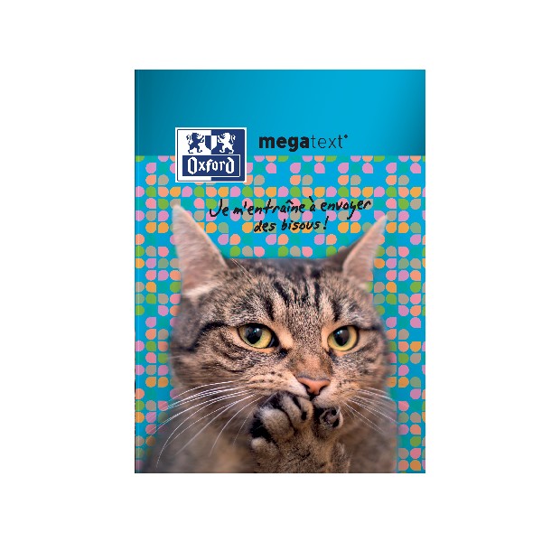 lettre chat 2023