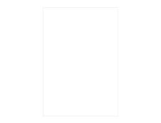 Pollen - 50 Feuilles papier couleur - A4 (21 x 29,7 cm) - 160 g/m² - blanc