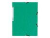 Exacompta Nature Future - 10 Chemises à 3 rabats - A4 - pour 250 feuilles - couleurs assorties