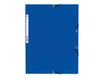 Exacompta Nature Future - 10 Chemises à 3 rabats - A4 - pour 250 feuilles - bleu