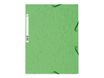 Exacompta Nature Future - Chemise à 3 rabats - A4 - pour 250 feuilles - tilleul