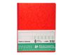 Exacompta - Piqûre comptable - 6 colonnes par page - 32 x 25 cm - 80 pages