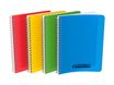 Conquérant Classique - Cahier polypro à spirale 17 x 22 cm - 100 pages - grands carreaux (Seyes) - disponible dans différentes couleurs