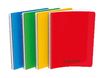 Conquérant Classique - Cahier polypro à spirale A4 (21x29,7cm) - 100 pages - petits carreaux (5x5 mm) - disponible dans différentes couleurs