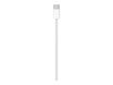 Apple - Câble USB - USB-C (M) vers USB-C (M) - 1 m - blanc