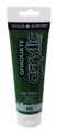 Daler-Rowney Graduate - Peinture acrylique - 120 ml - vert de Hooker