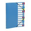3135251994871-Viquel - Trieur 12 positions - disponible dans différentes couleurs-P_199487_3-2