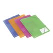 5028252256025-Rexel ICE - Classeur à attaches - pour A4 (210 x 297 mm) - capacité : 200 feuilles - bleu, orange,-P_300019089_3-0