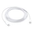0888462698429-Apple - Cable USB-C - Câble USB - 24 pin USB-C (M) pour 24 pin USB-C (M) - 2 m-P_300054831_2-1