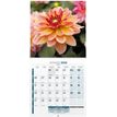 3592930027068-Calendrier illustré BOUCHUT 30 x 30 cm FLEURS 70 %-P_400009179_3-1