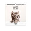 3371010469284-Quo Vadis - Calendrier à feuilles Animaux - 30 x 30 cm-P_400009720_1-0