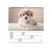 3371010469284-Quo Vadis - Calendrier à feuilles Animaux - 30 x 30 cm-P_400009720_2-1