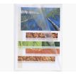 3130630585008-Exacompta - 100 Pochettes coin grainées - A4 - 12/100 - cristal-P_400011670_2-1