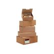 0404000143536-Boîte postale d'expédition - 35 cm x 22 cm x 13 cm - kraft - Torraspapel-P_400014353_1-0