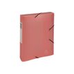 3130630593706-Exacompta Chromaline Pastel - Boîte de classement plastique - dos 60 mm - disponible dans-P_405117668_7-6