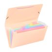 3135251131153-Viquel Rainbow Pastel - Trieur à soufflet - format chèque - disponible en différents co-P_405141926_2-1
