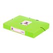 3135252217313-Viquel Happy Fluo - Boîte de classement plastique - dos 45 mm - disponible dans différe-P_405147347_10-9