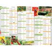 3664447151458-Calendrier Jardin calme - 6 mois par face - 21 x 26,5 cm - Oberthur-P_405149372_1-0