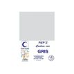 3416795912065-Elve Class Pep's - 12 chemises - 210 gr - 240 x 320 mm - gris-P_405185646_2-1
