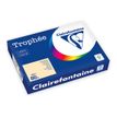 3329680002454-Clairefontaine Trophée -Papier - chamois - A4 (210 x 297 mm) - 80 g/m² - Ramette de 500 -P_405221806_1-0
