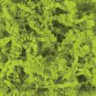 3240180259370-E.Pack La Couronne - 2.5 kgs Frisures de papier kraft 80% recyclé - 80 gr - Vert Pomme-P_405222154_1-0