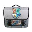 3666311027920-Cartable Harry Potter - 38cm -  2 compartiments - gris - Bagtrotter-P_405226260_1-0