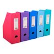 3130632901806-Exacompta - 10 Porte-revues polypro - dos 100 mm - couleurs assorties - livrés à plat-Angle gauche-6