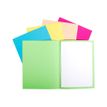 2012346205207-Exacompta Forever Foldyne - 100 Chemises - 170 gr - couleurs assorties-P_79346056_1-0