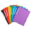 3130630550006-Exacompta - 10 Chemises à rabats dont 3 offertes - A4 - couleurs assorties-P_79359455_3-1