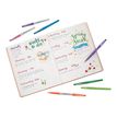 3501170977453-Paper Mate Flair Original - Pack de 16 feutres - couleurs assorties-P_79385280_5-4