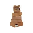 2012348669007-50 Boîtes postales d'expédition - 25 cm x 15 cm x 10 cm - kraft brun - Logistipack-P_79395373_1-0