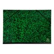 Exacompta - Carton à dessin à élastiques - 32 x 45 cm - vert