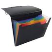 3135250118872-Viquel Rainbow Class - Trieur extensible 6 positions-P_79399471_1-0