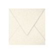Pollen - 20 Enveloppes - 140 x 140 mm - 120 g/m² - ivoire irisé