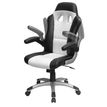 3700339876983-Fauteuil gamer RACER - accoudoirs rabattables - noir et blanc-P_79408870_2-1