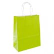 50 Sacs cadeau kraft - poignées torsadées - 35 cm x 14 cm x 40 cm - vert