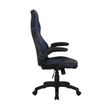 3700339883363-Fauteuil gamer RACER SPEED - accoudoirs rabattables - noir et bleu-P_79433904_4-3