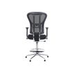 3701338800788-Fauteuil Haut TANET - hauteur réglable - accoudoirs règlable - noir-P_79438617_3-2