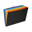 400794452618-Viquel Rainbow Class - Trieur extensible 6 positions - A3-P_79445261_1-0
