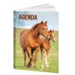 3592930015492-Agenda Cheval - 1 jour par page - 12 x 17 cm - Bouchut--0