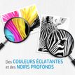 884420396062-HP 920XL - magenta - cartouche d'encre originale (CD973AE)--1
