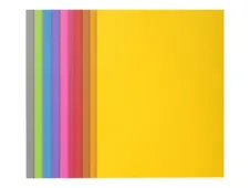 Exacompta Rock"s - 50 Chemises - 210 gr - couleurs assorties