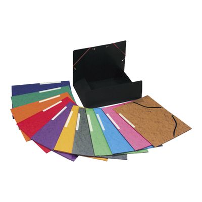 3130630555100-Exacompta Nature Future - 10 Chemises à 3 rabats - A4 - pour 250 feuilles - couleurs vives -Multi-angle-3