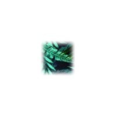 3108726460607-Oberthur Jungle - Porte-monnaie - disponible dans différents modèles-Gros plan-3