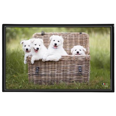 3135251382876-Viquel - Sous-main Animaux - 59,8 x 36,5 cm - disponible dans différents modèles--3