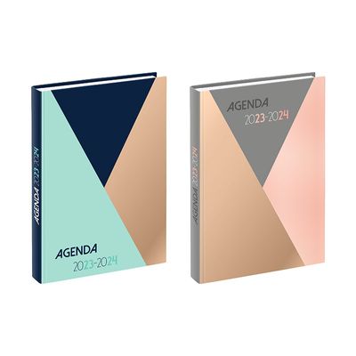 3135257453419-Agenda Color Block - 1 jour par page - 12 x 17 cm - 2 modèles disponibles - Viquel--0