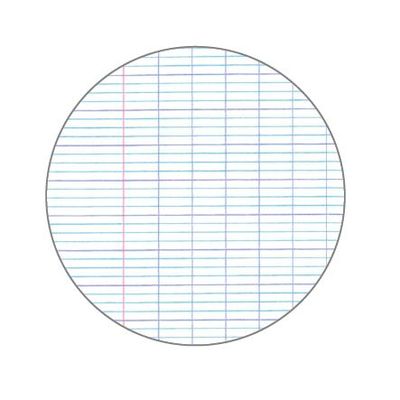 8422593021347-Notebook Emotions, couverture souple, A4 séyès, 80 feuilles de 1 couleur, Miquelrius, Turquoise.--1