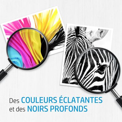 884420396062-HP 920XL - magenta - cartouche d'encre originale (CD973AE)--1