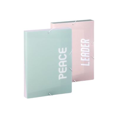 3135252213230-Viquel Milkshake - Boîte de classement - Dos 45 mm - A4 - disponible en différents colori-Angle gauche-0