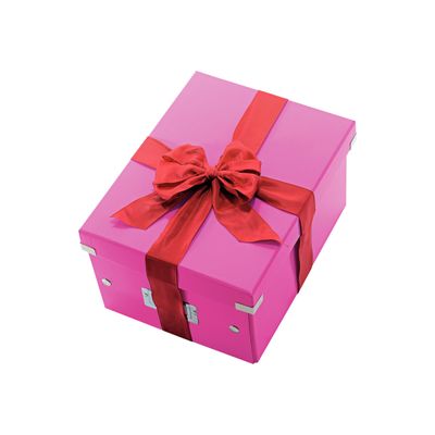 4002432398126-Leitz Click & Store - Boîte de rangement A4 - rose métallisé-Angle droit-0